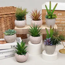 Artificial DIY Succulent Plants Combination Mini Pulp Basin Desktop Decoration