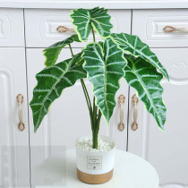 Artificial Alocasia Potted Landscape Home Living Room Indoor Tabletop Green Plant Decoration