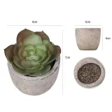 Artificial Sky Frost Lotus Succulent Mini Pulp Potted Basin Balcony Decoration