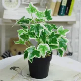 Artificial Green Leaves Potted Home Living Room Indoor Green Plant Decoration