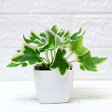 Artificial Mini Green Leaves Potted Home Living Room Indoor Green Plant Decoration