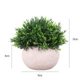 Artificial Small Coral Grass Potted Plant Combination Mini Pulp Basin Desktop Decoration
