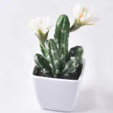 Artificial Mini Succulent Plant Cactus Bonsai Ornament