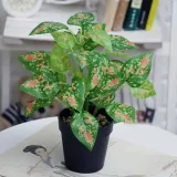 Artificial Green Leaves Potted Home Living Room Indoor Green Plant Decoration
