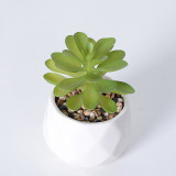 Artificial Tower Lotus Mini Succulent Plant Bonsai Ornament