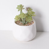 Artificial Mini Succulent Plant Cactus Combination Bonsai Ornament