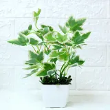 Artificial Mini Green Leaves Potted Home Living Room Indoor Green Plant Decoration