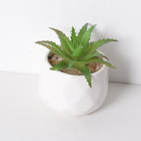Artificial Aloe Mini Succulent Green Plant Bonsai Ornament