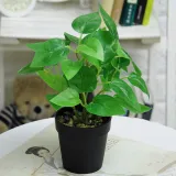 Artificial Green Leaves Potted Home Living Room Indoor Green Plant Decoration
