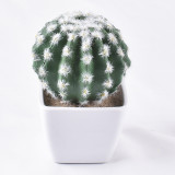 Artificial Mini Succulent Plant Cactus Flower Bonsai Ornament