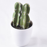 Artificial Mini Succulent Plant Cactus Column Bonsai Ornament