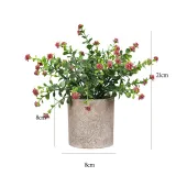 Artificial Money Leaf Plants Babysbreath Combination Pulp Potted Basin Desktop Decoration