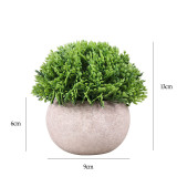 Artificial Fruit Seed Grass Potted Plant Combination Mini Pulp Basin Desktop Decoration
