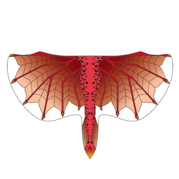 Halloween Holiday Cape Children Wings Christmas Stage Costumes