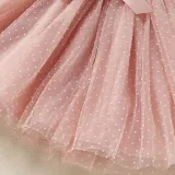 Toddler Kids Girl Short Puff Sleeve Splicing Mesh Dress