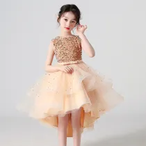 Toddler Kids Girl Sleeveless Sequin Trailing Tutu Gowns Dress