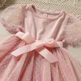 Toddler Kids Girl Short Puff Sleeve Splicing Mesh Dress