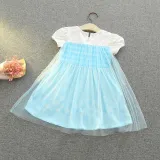 Toddler Kids Girl Short Sleeve Princess Mesh Dress Cosplay Costume