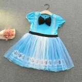 Toddler Kids Girl Short Sleeve Princess Mesh Dress Cosplay Costume