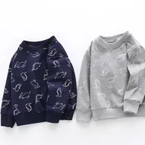 Toddler Boys Long Sleeve Round Collar Cartoon Dinosaur Sweatshirt