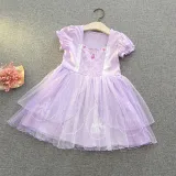 Toddler Kids Girl Short Sleeve Princess Mesh Dress Cosplay Costume
