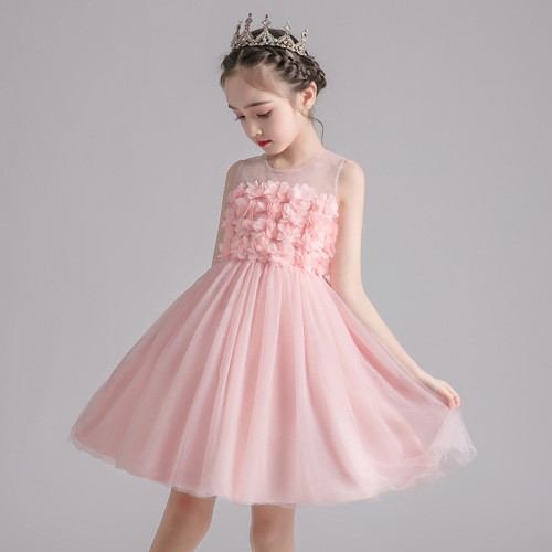 Toddler Kids Girl Sleeveless Mesh Round Collar Floral Gowns Dress