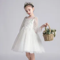 Toddler Kids Girl White Mesh Long Sleeve Embroidery Lace Short Dress