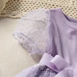 Toddler Kids Girl Short Puff Sleeve Splicing Mesh Dress