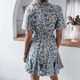 Women Short Sleeve Waist Surplice Chiffon Mini Dress