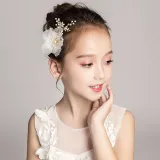 Pearl Flowers Hairpin Tiara Performance Birthday Dinner Show Accessories Tiara