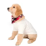 Christmas Matching Family Pajamas Dachshund Through The Snow Short Pajamas Set