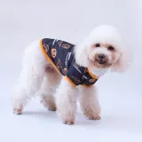 Halloween Bat Magic Hat Pumpkin T-shirt Dog Pet Clothes