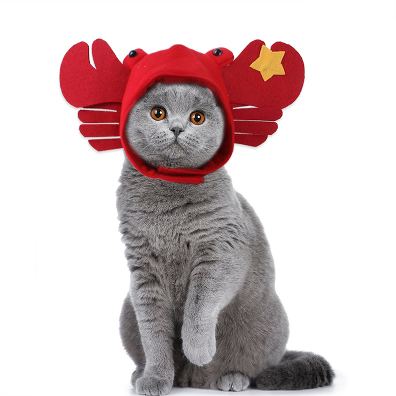 Crab Headgear Funny Cat Hat Pet Clothes for Halloween