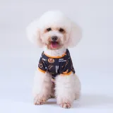 Halloween Bat Magic Hat Pumpkin T-shirt Dog Pet Clothes