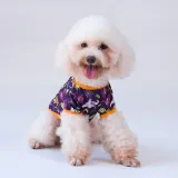 Halloween Bat Magic Hat Pumpkin T-shirt Dog Pet Clothes