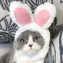 Pet Kitten Puppy Soft Plush Cross Cosplay Hat