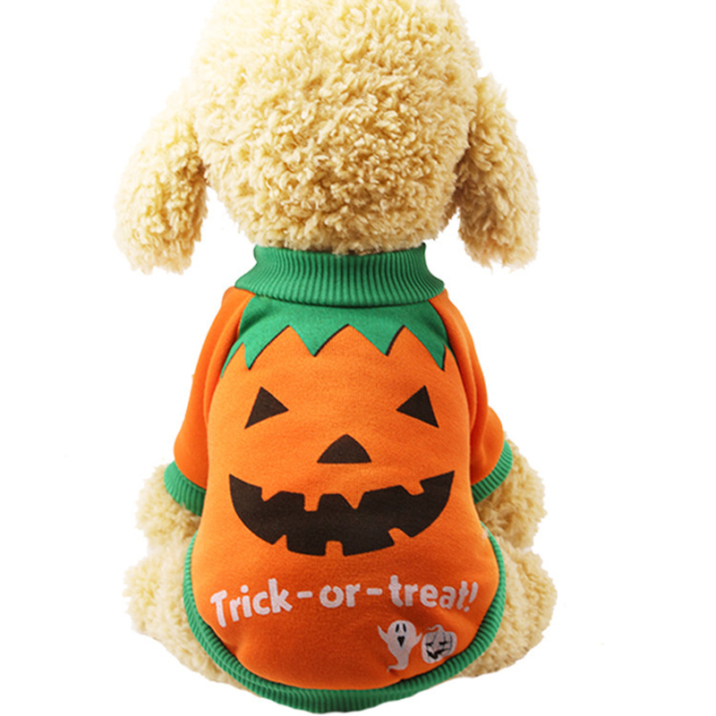 Pet Dog Halloween Pumpkin Pattern Clothes Trick or Treat Slogan Sweater