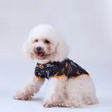 Halloween Bat Magic Hat Pumpkin T-shirt Dog Pet Clothes