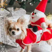 Christmas 3D Santa Claus Doll Riding Dress Up Dog Clothes Pet Clothes for Xmas