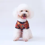 Halloween Bat Magic Hat Pumpkin T-shirt Dog Pet Clothes