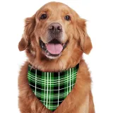 The Most Wonderful Time Of Year Christmas Matching Family Pajamas Plus Size Green Plaid Pajamas Set