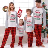 Christmas Matching Family Pajamas Dear Santa They Are The Naughty Ones Gray Pajamas Set