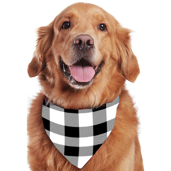 Christmas Matching Family Pajamas Set With Dog Pajamas