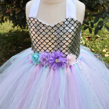 Mermaid Ariel Princess Sleeveless Mesh Dress Party Dress Tutu Dress Dream Outfit