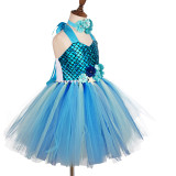 Mermaid Ariel Princess Sleeveless Mesh Dress Party Dress Tutu Dress Dream Outfit