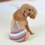 Pet Dog Sanitary Physiological Cute Rainbow Strap Puppy Underwear Diapers