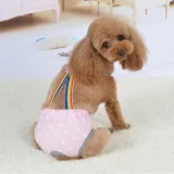 Pet Dog Sanitary Physiological Cute Rainbow Strap Puppy Underwear Diapers