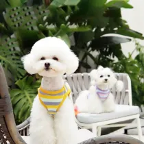 Dog Cloth Multicolor Stripes Vest Always Together Slogan Shirts