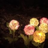 LED Solar Simulation Rose Flower Light Waterproof Garden Landscape Lamp Outdoor Lawn Lamp Home Decorative Flower Lights