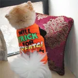 Pet Dog Cloth Teddy Hamburger Printed Vest